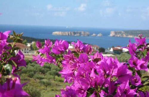 Pylos House | Gianna's Guesthouse & Cave Studio