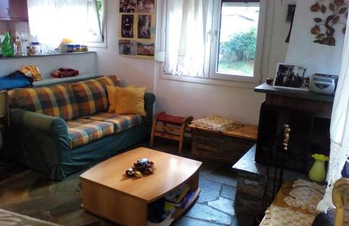 Samarina Ski Chalet | Ginî Viñis