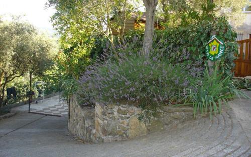 Tanneron House | Gite au calme en campagne