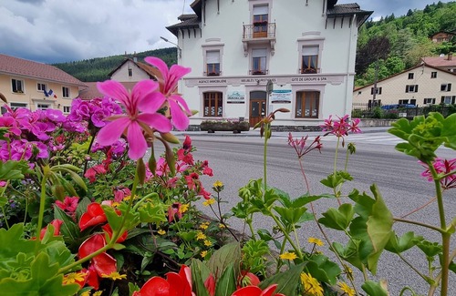 Ventron Apartment | Gite "Blueberry" of 4/6 people with Jacuzzi