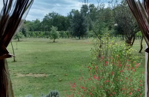 Lalbenque House | Gite de caractère 4* - Causses du Quercy - 10% discount from 05/26 july 2025