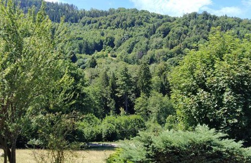Vecoux Apartment | GITE DE CHARME PLEINE NATURE