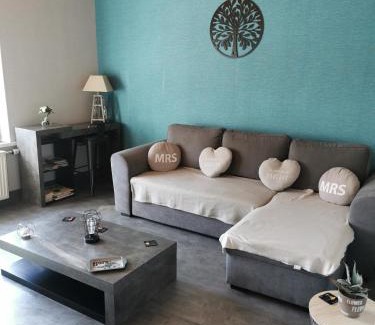 Maizieres-les-Vic Apartment | gite de plaisance