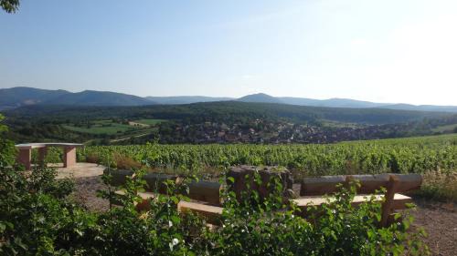 Rosenwiller House | Gite Le Petit Moulin