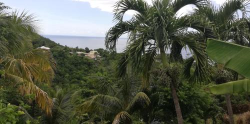 Bouillante Apartment | GITE REVE CARAIBES LE PETIT HAVRE