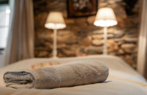 Vielsalm House | Gite - Saze Canne - 10 personnes