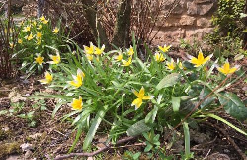 Floing House | Gite THEYS Floing