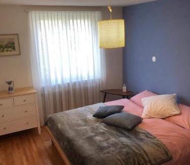 Altdorf Apartment | Gitschenblick