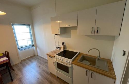Vinje House | Gjest huset Bøveien 468