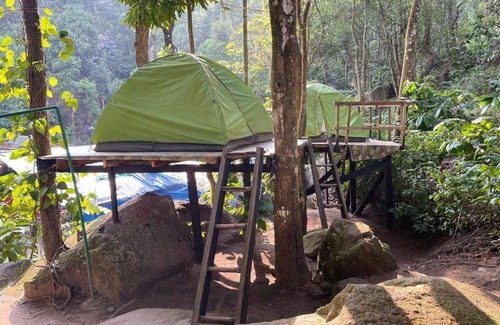 Muttil South Other | gladstone natural Camping