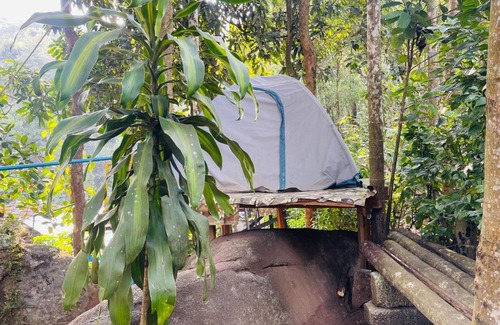 Muttil South Other | gladstone natural Camping