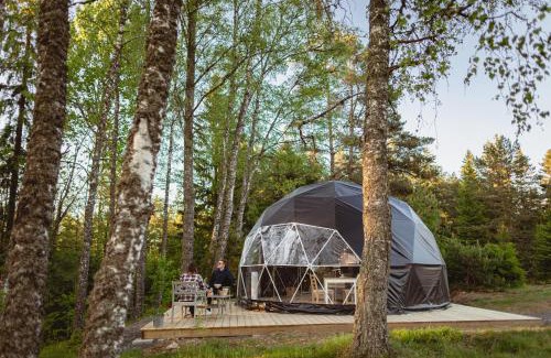 Habo Other | Glamping Julared