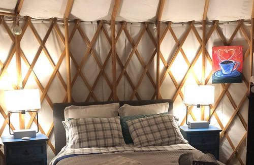 Edgewood Cabin | Glamping! Luxury Yurt enjoy the night sky & walking trail