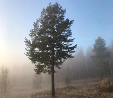 Strombacka Other | Glamping tent in a forest, lake view