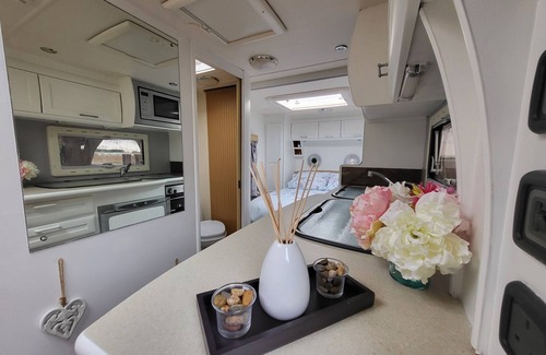 Wisbech Other | Glamping With Llamas