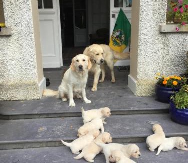 Valentia Island House | Glanleam House