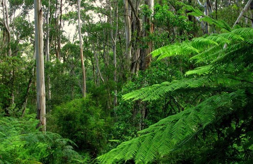 Glenaire House | Glenaire Cottages