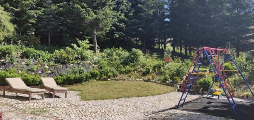 Zieleniec House | Gościniec Saba