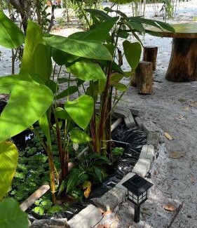Lubok Buaya Hotel | Golden Chenang Village