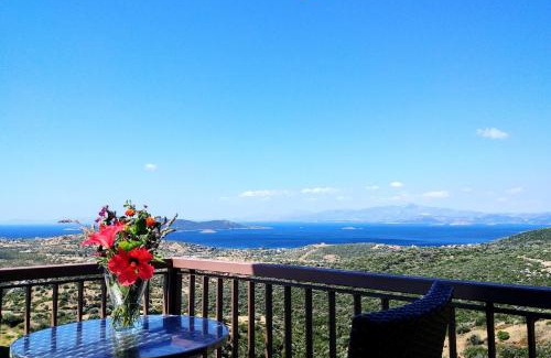 Nea Styra Apartment | Golden Sea View Suites