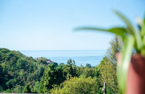 Kobuleti Ski Chalet | GoldenSeaView TreeHouse with Small Private Pool