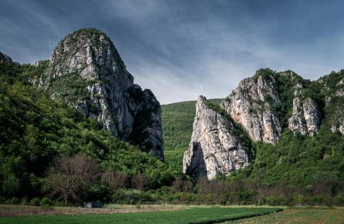 Stara Planina Apartment | Golemi kamik Pirot Vlasi 2