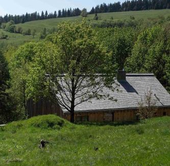 Miedzylesie House | Gonna Dom w Górach