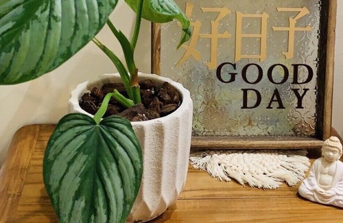 Yuli Bed & Breakfast | good day