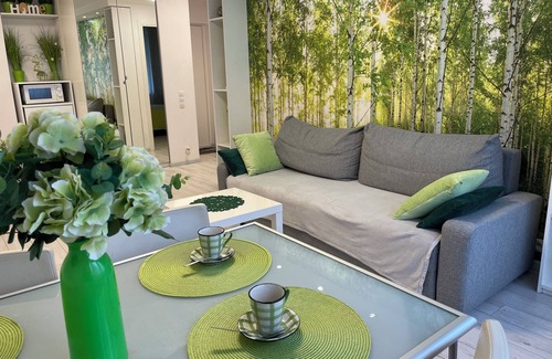 Srodmiescie Połnocne Apartment | Good Time Apartments