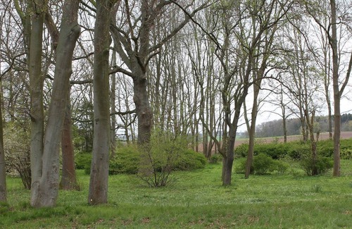 Neuburg Apartment | Gorgeous apartment in Neuburg with terrace