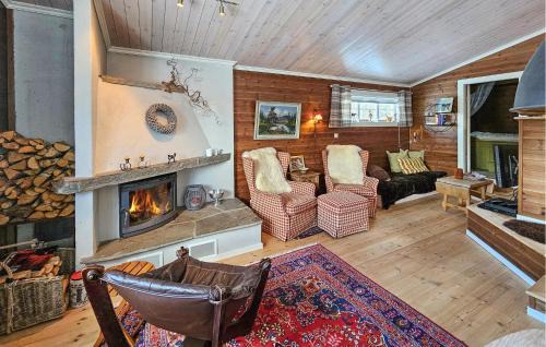 Fla Municipality House | Gorgeous Home In Eggedal With Kitchen