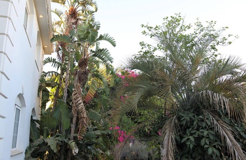 Caesarea Apartment | Gorgeous Mansion by Caesarea's Greatest