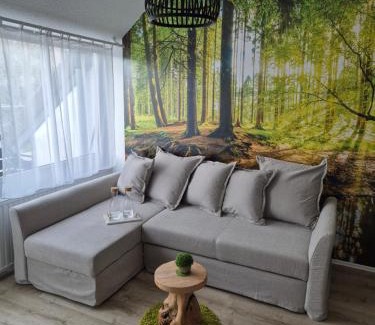 Altenau Apartment | Grüne Glocke
