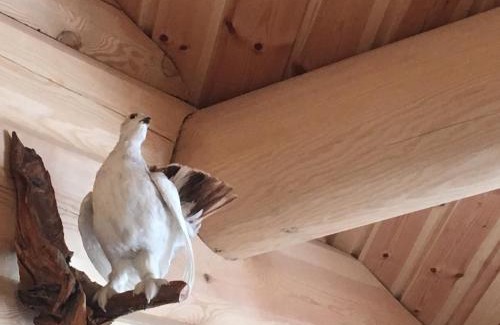 Snasa Bed & Breakfast | Grana Bryggeri