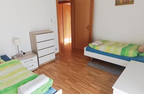 Leymen Apartment | Grand appartement frontière suisse