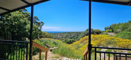 Bonifacio House | Grande Chambre tout confort 5