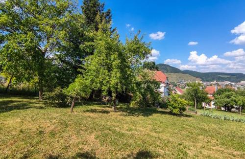 Thann Villa | Grande maison avec vue panoramique