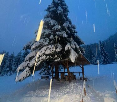 Bistrita Bargaului Ski Chalet | Granero Colibita
