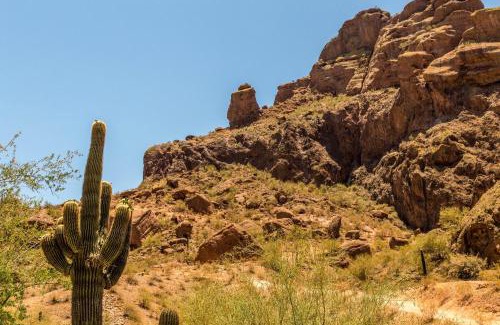 Village Fairways Apartment | Grayhawk Condo