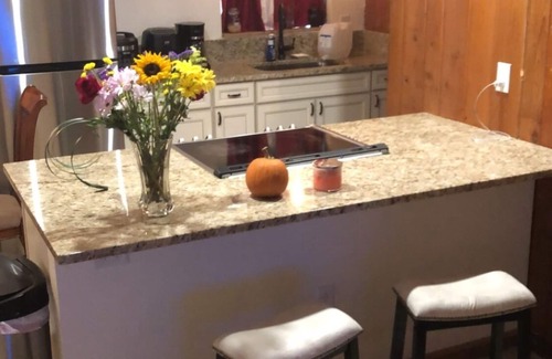 Bradenton Cottage | Great 1-1 clean and bright