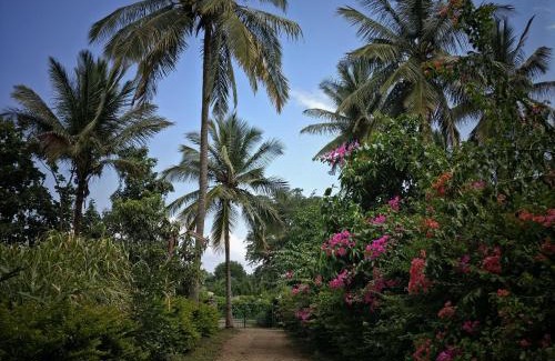 Masinagudi House | Green acres