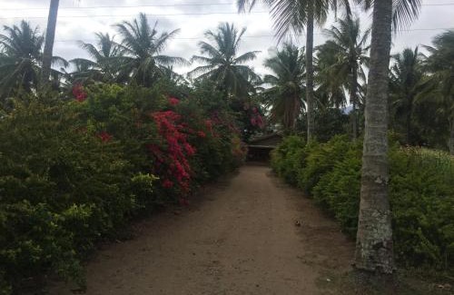 Masinagudi House | Green acres