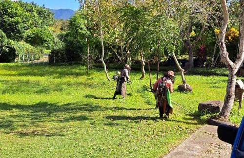 Guangfu House | Green Forest Homestay