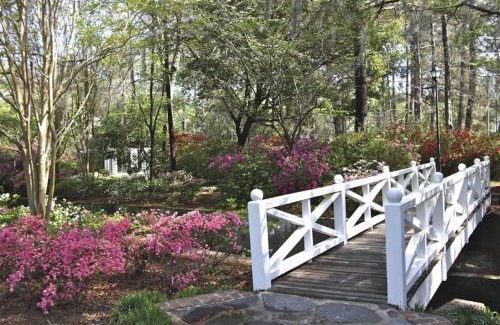 Mount Pleasant House | Green Whale