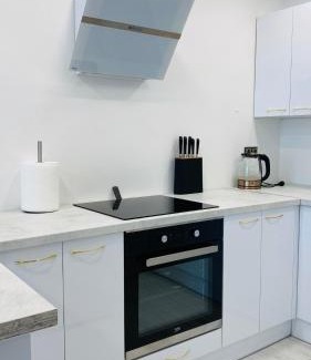 Anyksciai Apartment | Green & White Apartament