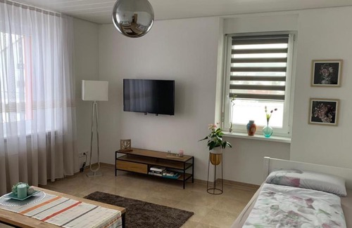 Grenzach-Wyhlen Apartment | Grenznahe Ferienwohnung mit 4 Schlafzimmern