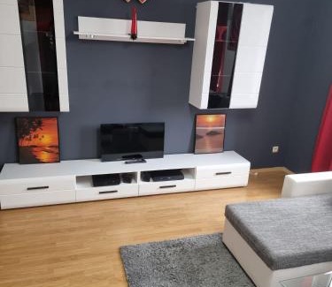 Marienthal West Apartment | Große 4 Zimmerwohnung Zwickau