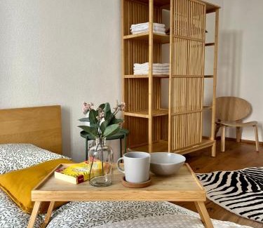 Lend Apartment | Große Wohnung in Graz SOVA 1
