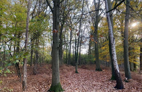 Doetinchem House | Groepsaccommodatie - De Ooymanhoeve
