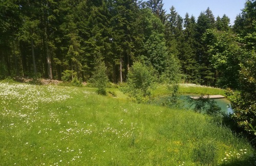 Kollnburg Apartment | Group accommodation in the Bavarian Forest for up to 10 people in a secluded location